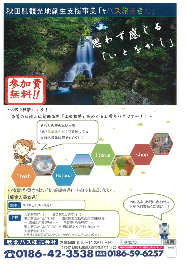 daytrip_bustour3.png
